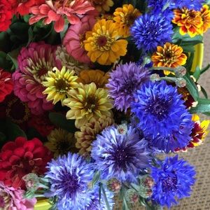 Meet your Posher, Natalia